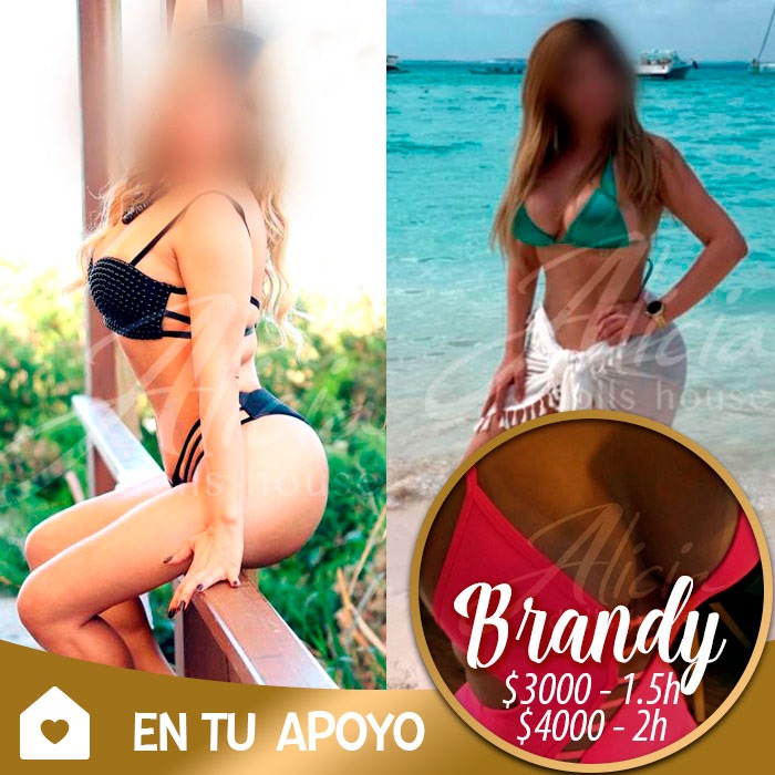 escorts en promocion, putas en monterrey, promociones de aliciadollshouse